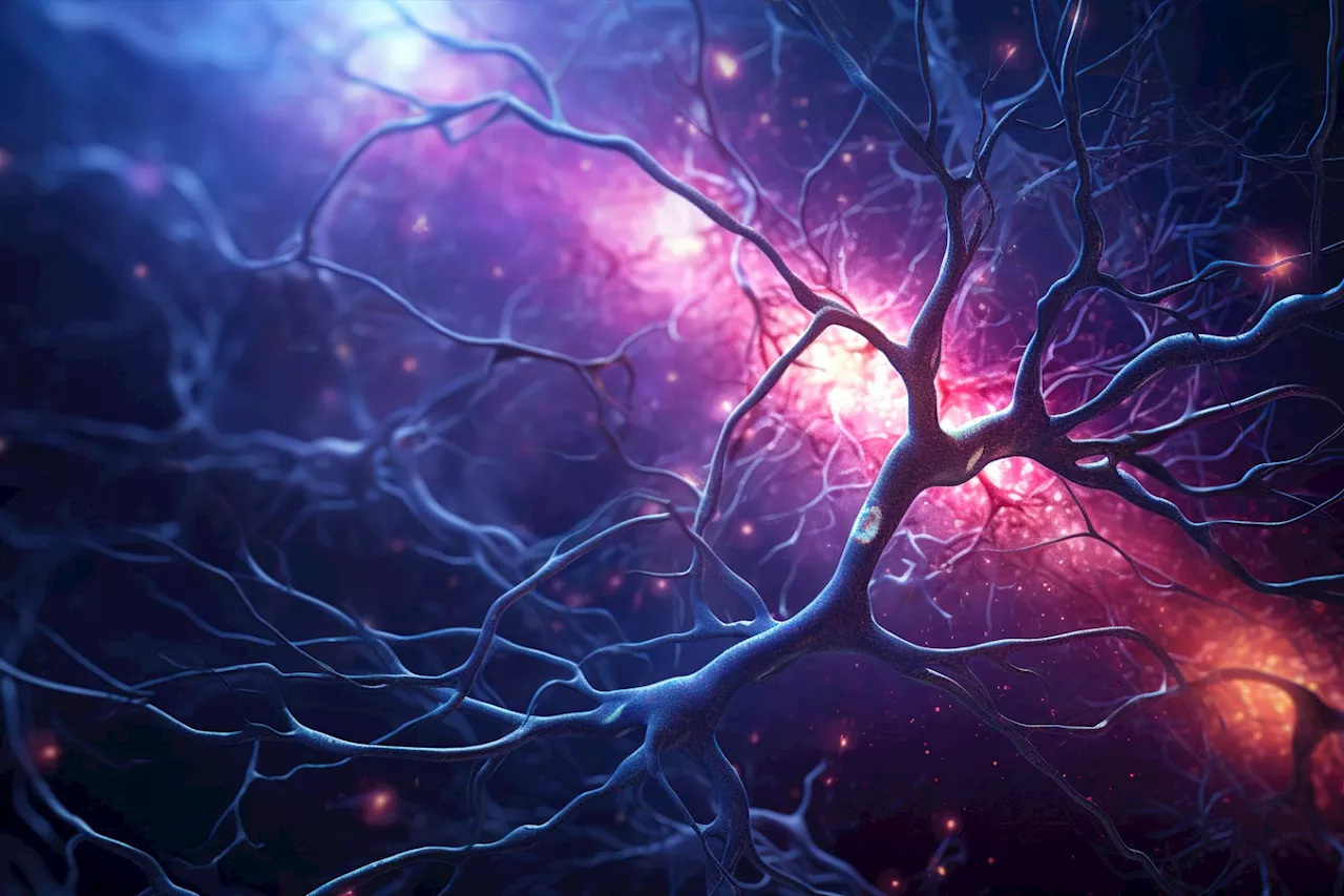 Wake Up and Die: New Brain Cell Discovery Could Unlock Alzheimer’s Secrets