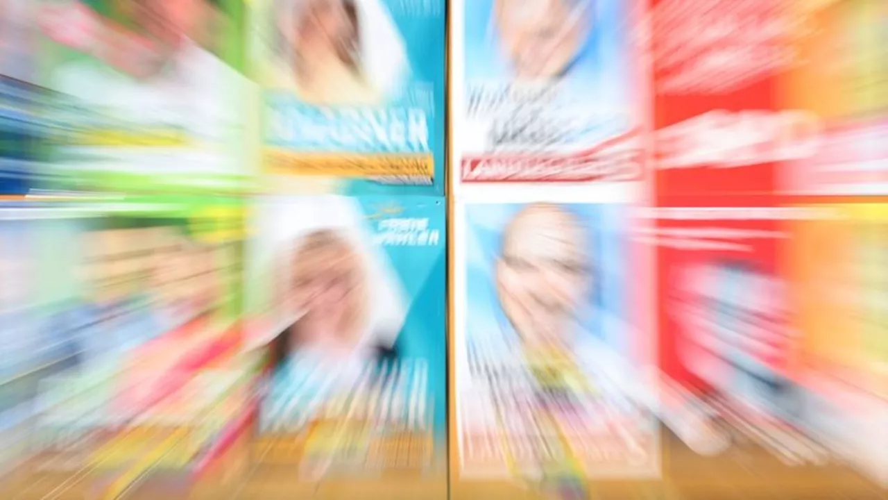 Wahlen: Parteien starten Wahlwerbung - Erste Wahlplakate beschädigt