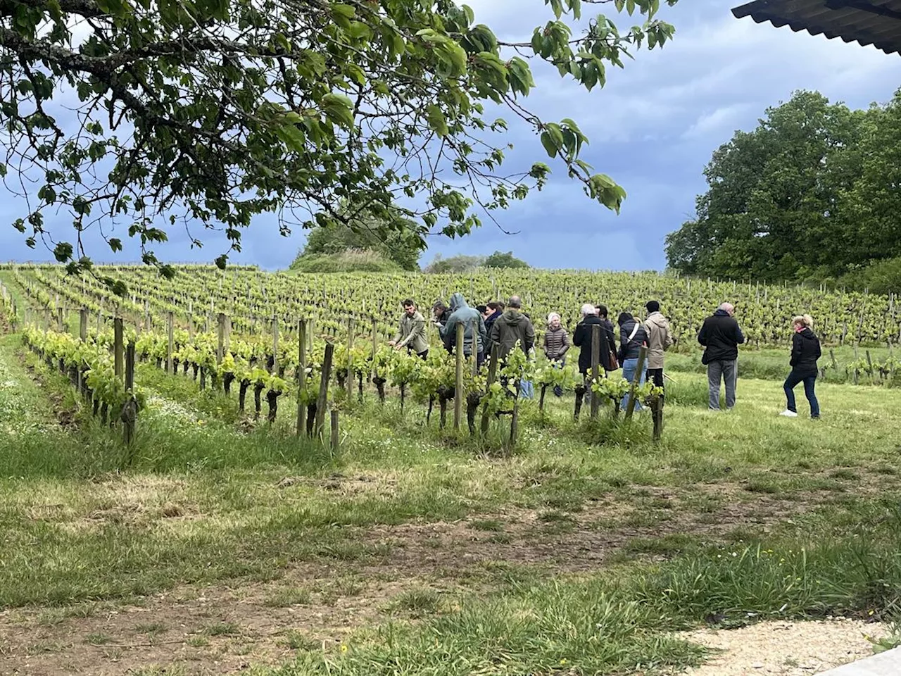 Agriculture en Gironde : « Sans Terre de liens, nous n’aurions pas pu nous installer »