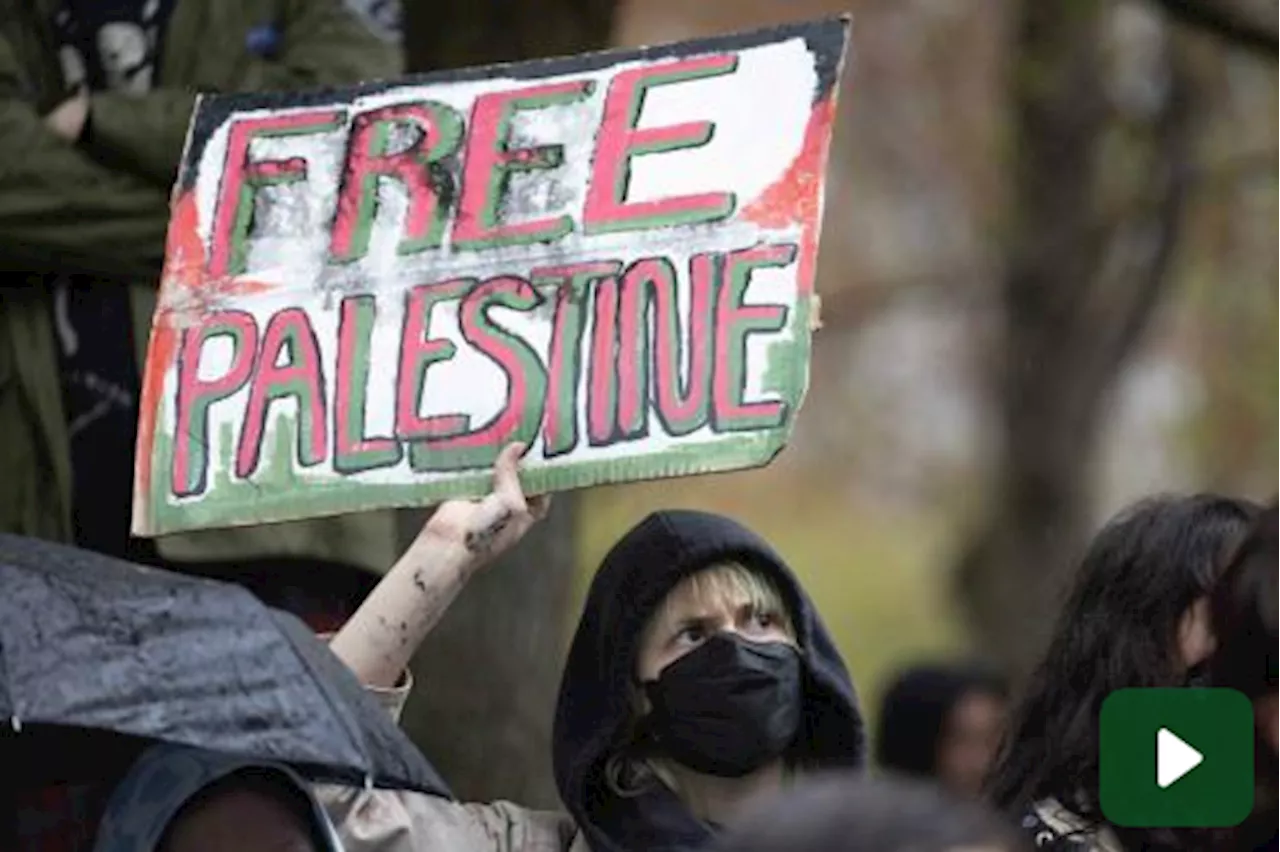 Proteste pro-Palestina nelle università: a Boston arrestati 100 studenti