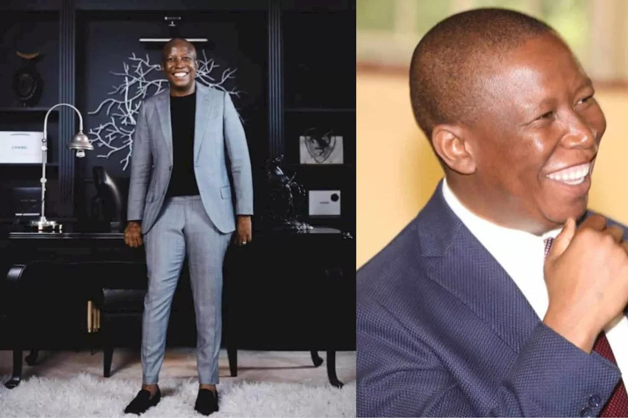 Steal Julius Malema’s look: The power of the grey suit