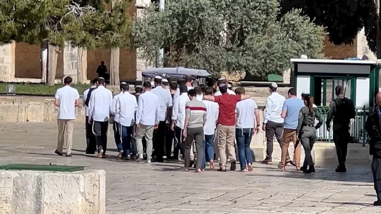 Over 500 illegal Israeli settlers storm East Jerusalem's Al Aqsa Mosque