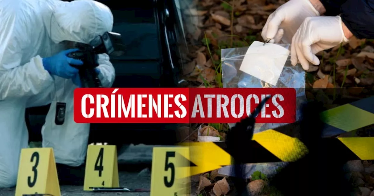 Aiden Fucci, el joven que asesinó de 114 puñaladas a compañera de clase: ‘Tenía el deseo de matar’