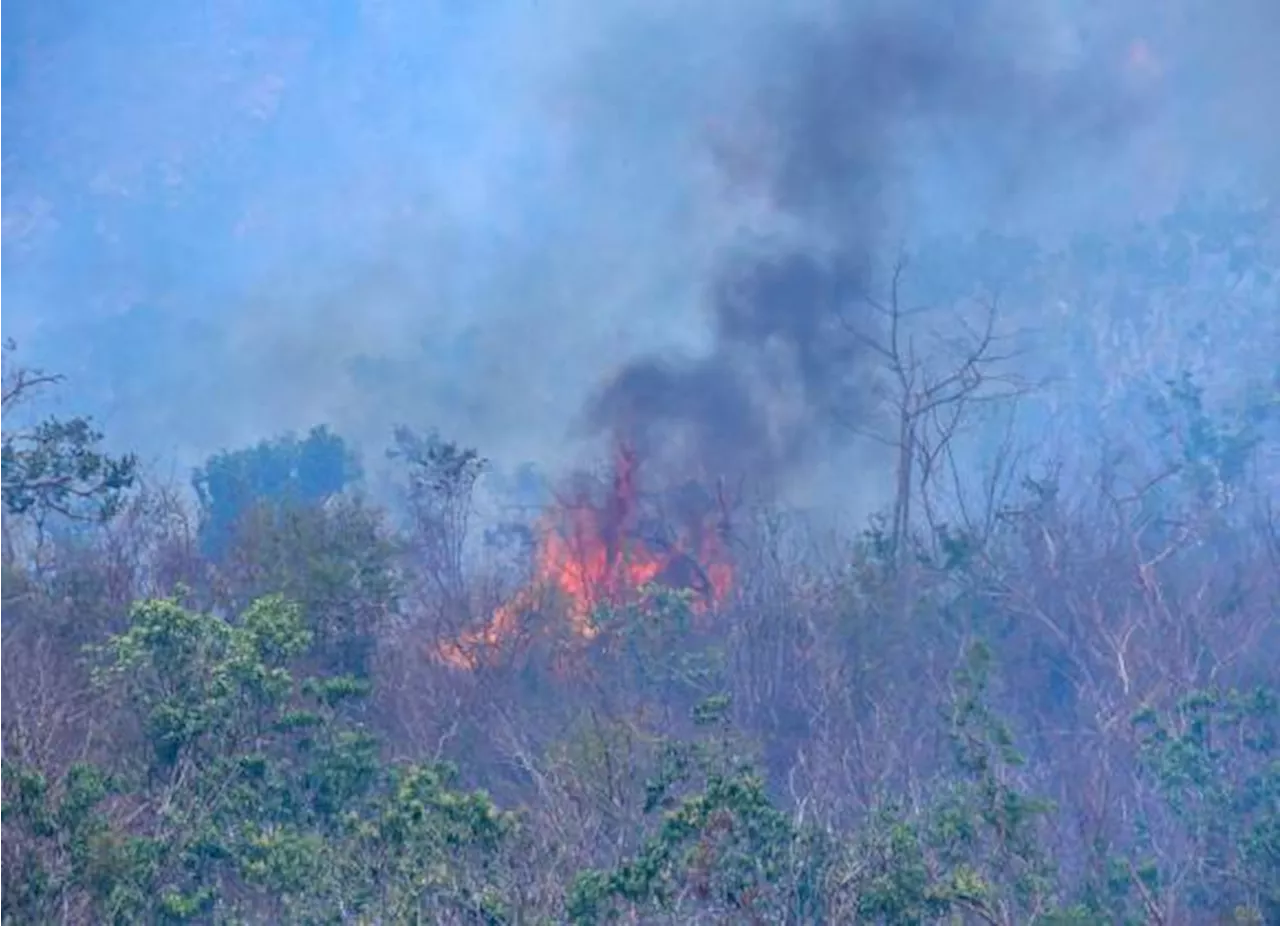 Incendio en Parque Nacional ‘El Veladero’, en Acapulco, lleva activo cinco días