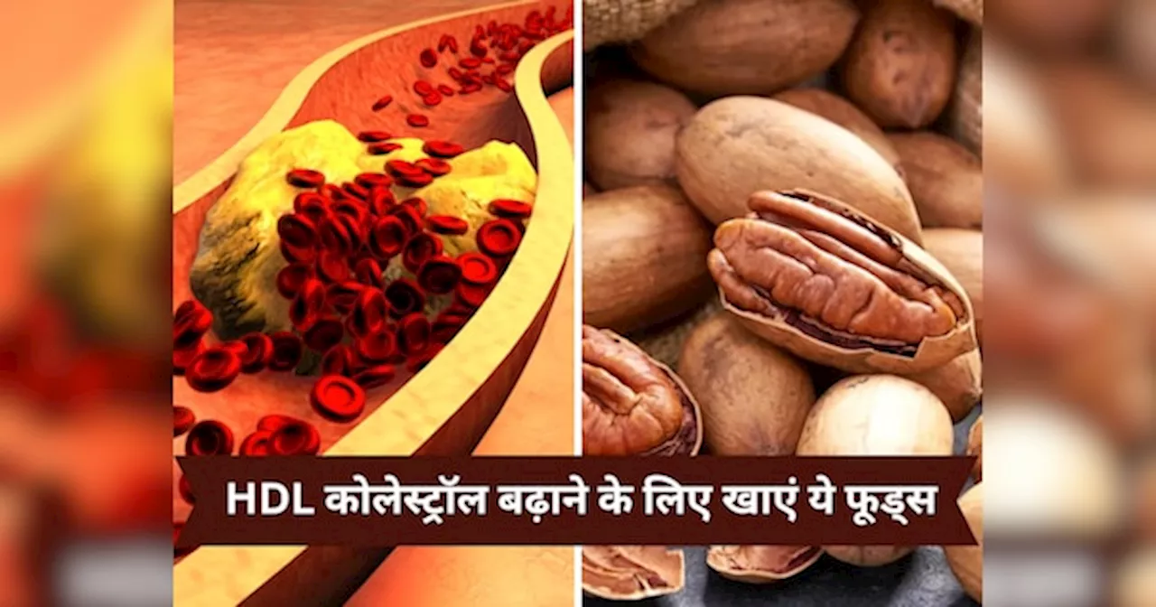 HDL Cholesterol: गुड एचडीएल कोलेस्ट्रॉल को तेजी से बढ़ाते हैं ये फूड्स, न्यूट्रिशनिस्ट ने दी सलाह