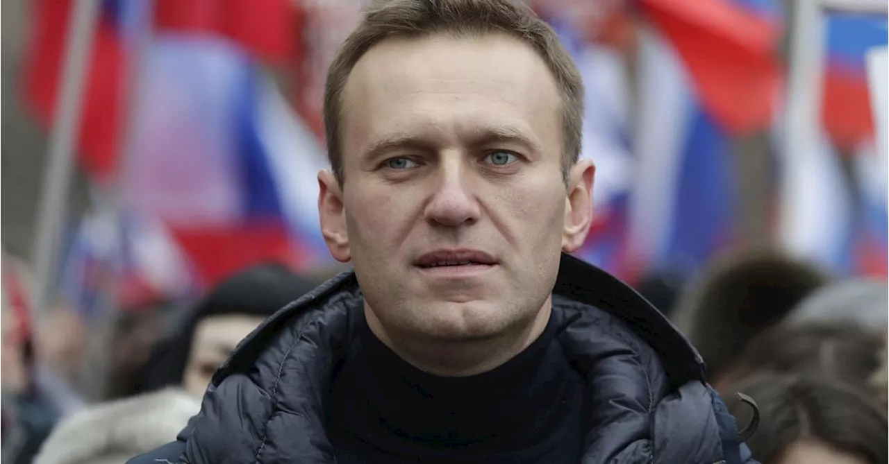 Putin likely didn't order Russian opposition leader Navalny's death, US official says