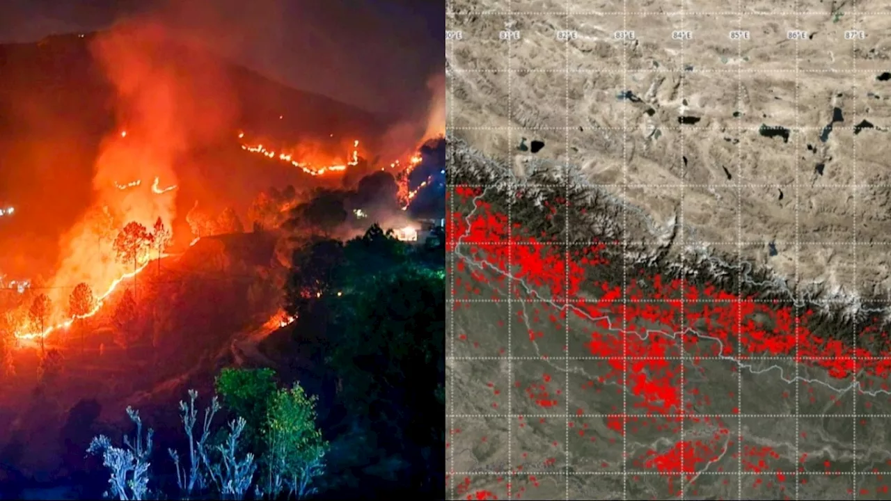 Nainital forest fires: धधक रहे नैनीताल के जंगल, आखिर क्यों भयावह होती जा रही उत्तराखंड के जंगलों की आग?