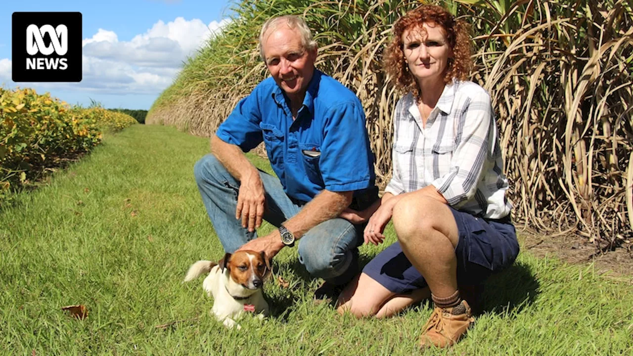 Criminals targeting rural properties leave Bundaberg region farmers feeling unsafe and desperate