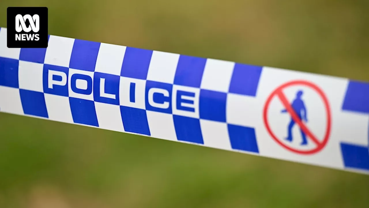 Ten-year-old girl dies after being stabbed at Boolaroo, west of Newcastle, 17-year-old arrested