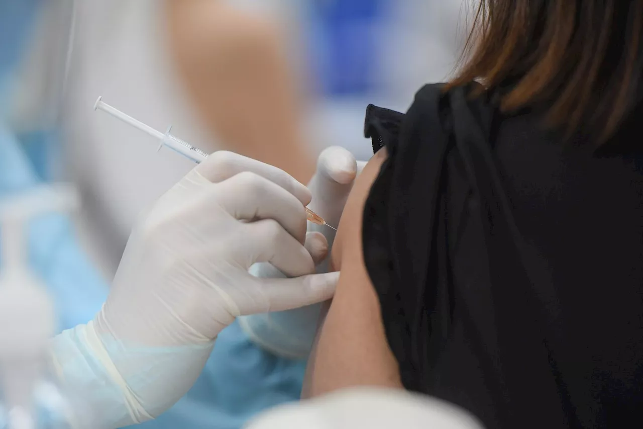 Vaccini, esperti: 'Non solo per bimbi e fragili ma standard per invecchiare in salute'