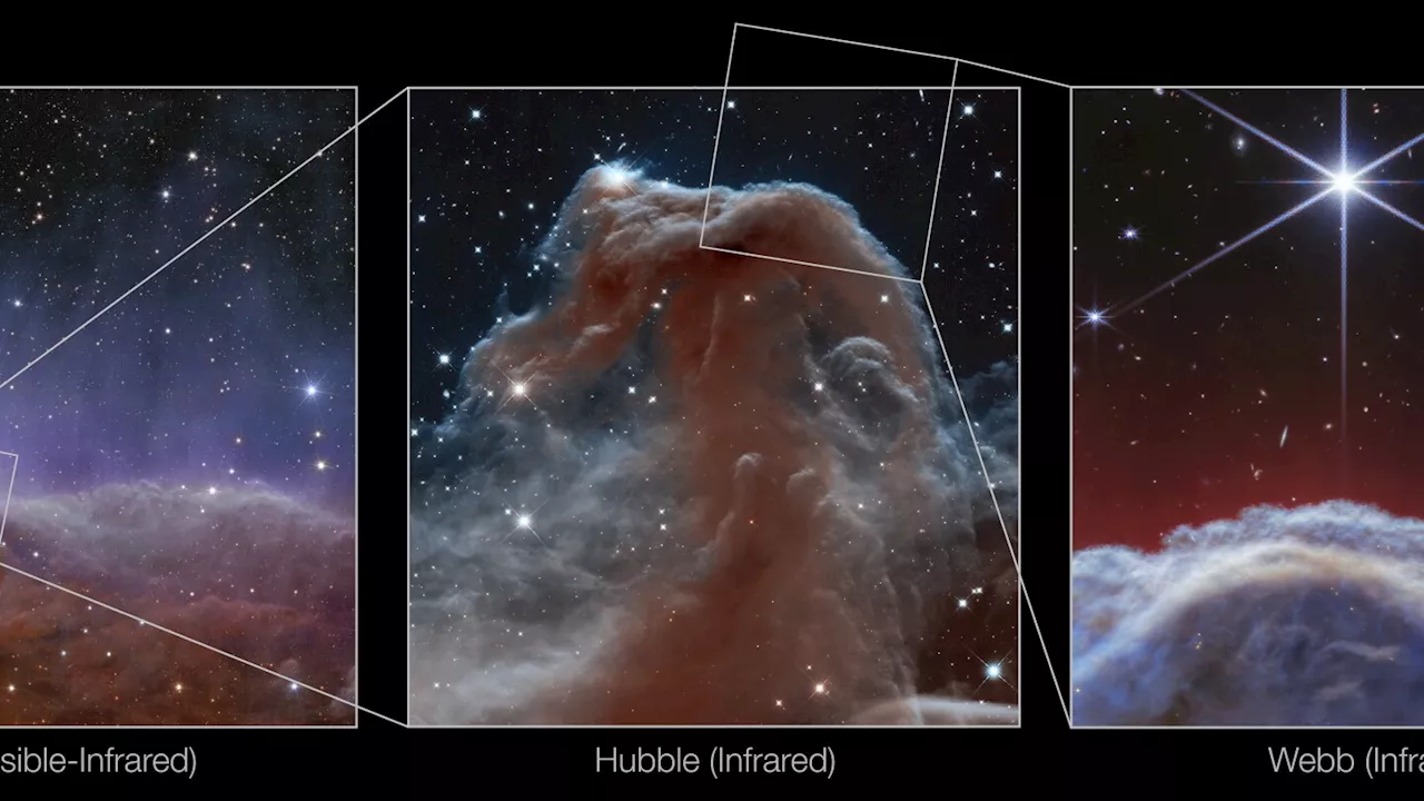 A horse-shaped nebula gets its close-up in new photos by NASA's Webb telescope