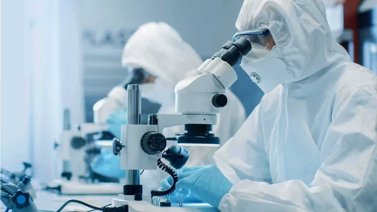 Emerging Electron Microscopy Techniques for Quantum Research