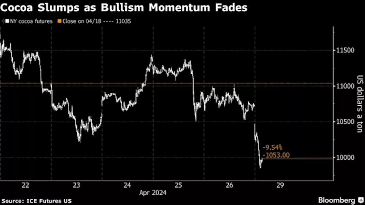 Cocoa Slumps on Better Mid-Crop Outlook and Lower Bullish Bets