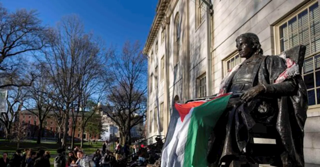 Protesters Remove American Flag, Raise Palestinian Flag in Harvard Yard