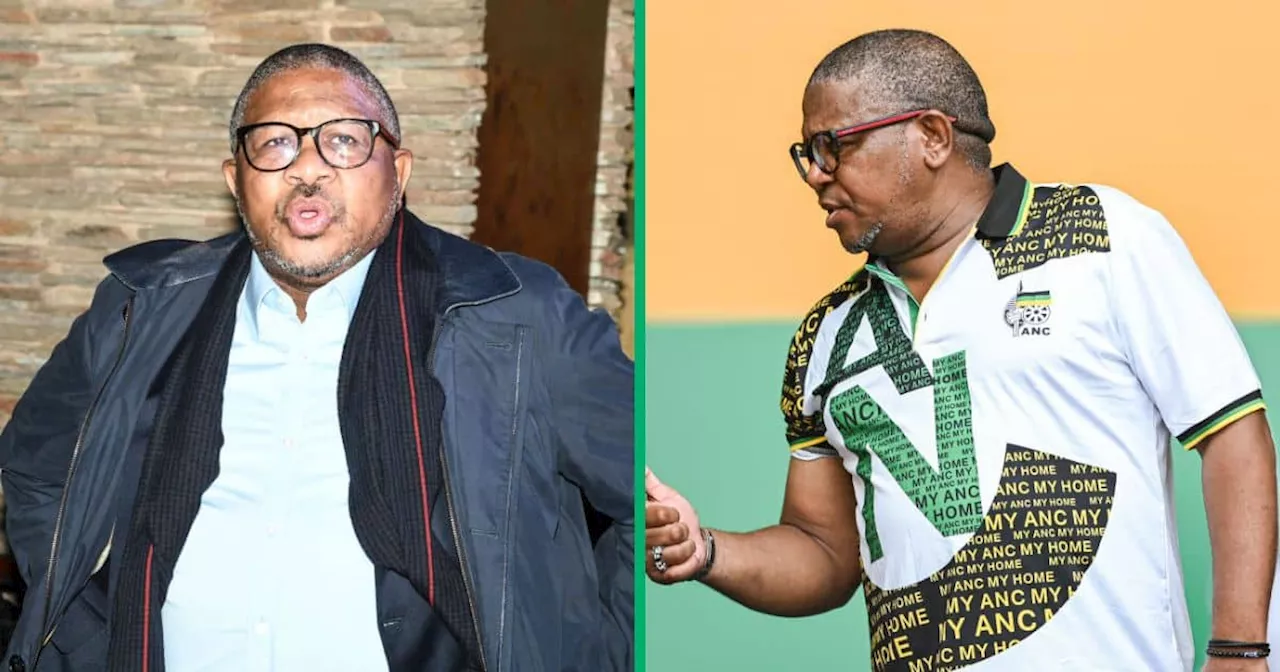 Fikile Mbalula Claims the Western Cape Is Ruled by Witches, Mzansi in Stitches