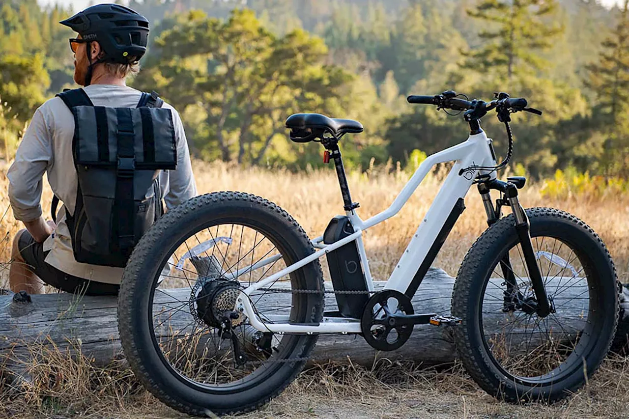 Save $700+ On Blix E-Bikes, Plus Free Accessories Worth Hundreds