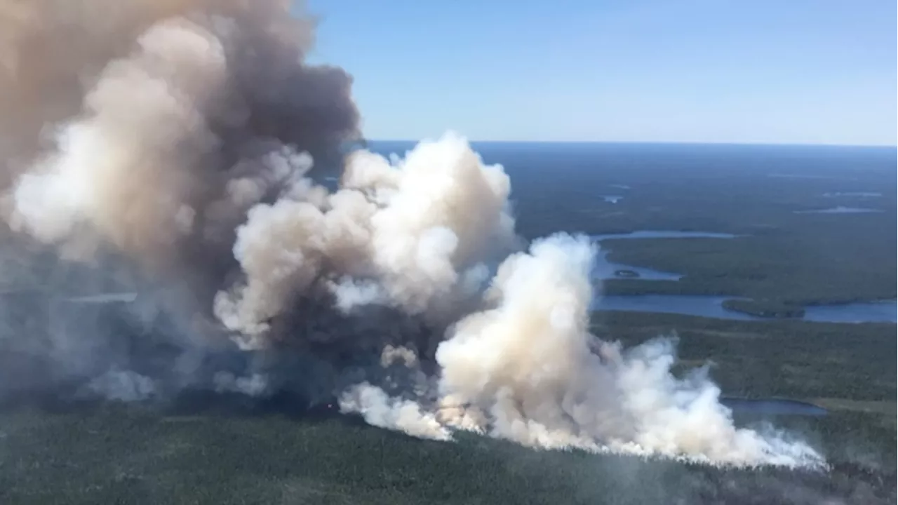 Ontario short forest firefighters amid over dozen reported wildfires