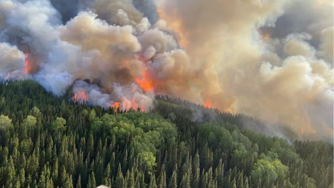 Ontario short forest firefighters as over a dozen wildfires are reported, union says