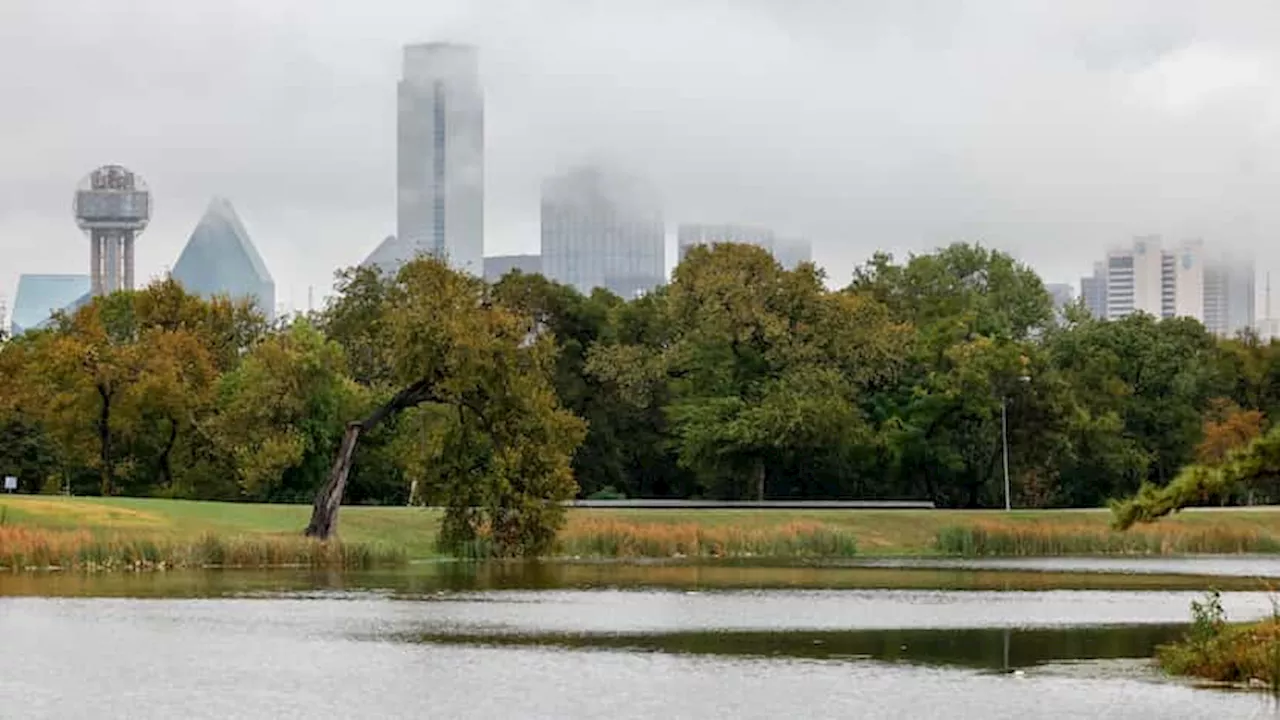 Dallas TX weather: Foggy morning, sunny warm afternoon