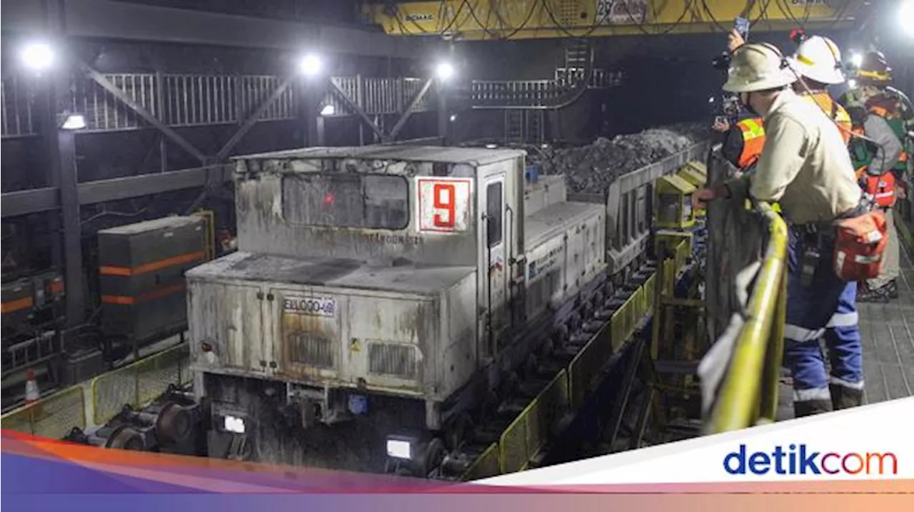 Terkuak Alasan Kontrak Freeport Perlu Diperpanjang hingga 2061