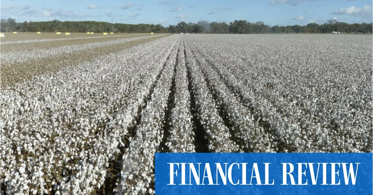 ASX NAM: Louis Dreyfus hits back in bidding war for Namoi Cotton