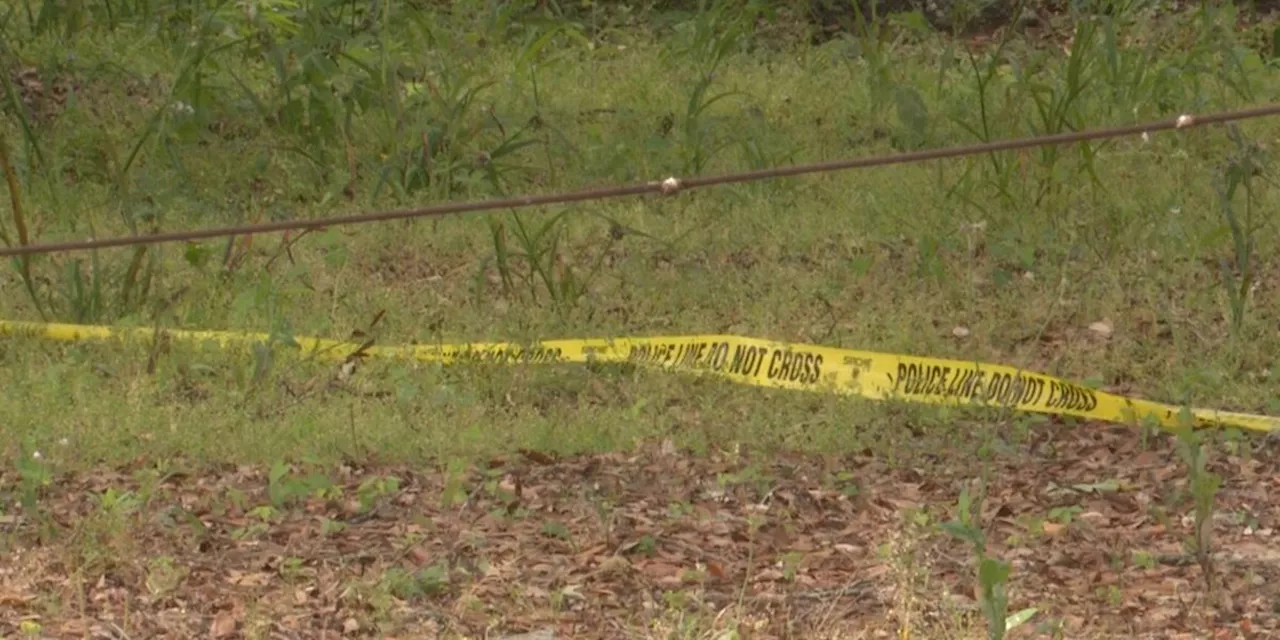 Prichard Police investigating three homicides in less than 24 hours