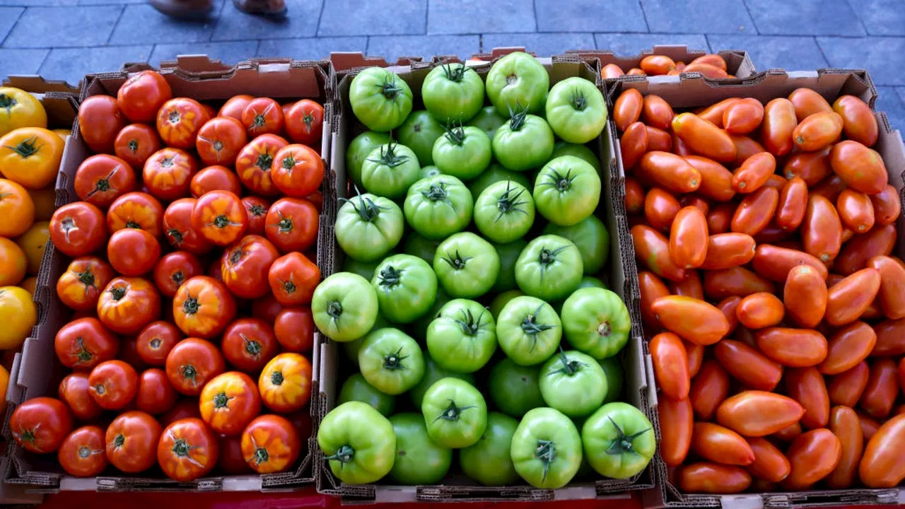 Chicago releases 2024 farmers market schedule: Daley Plaza to kick off the season