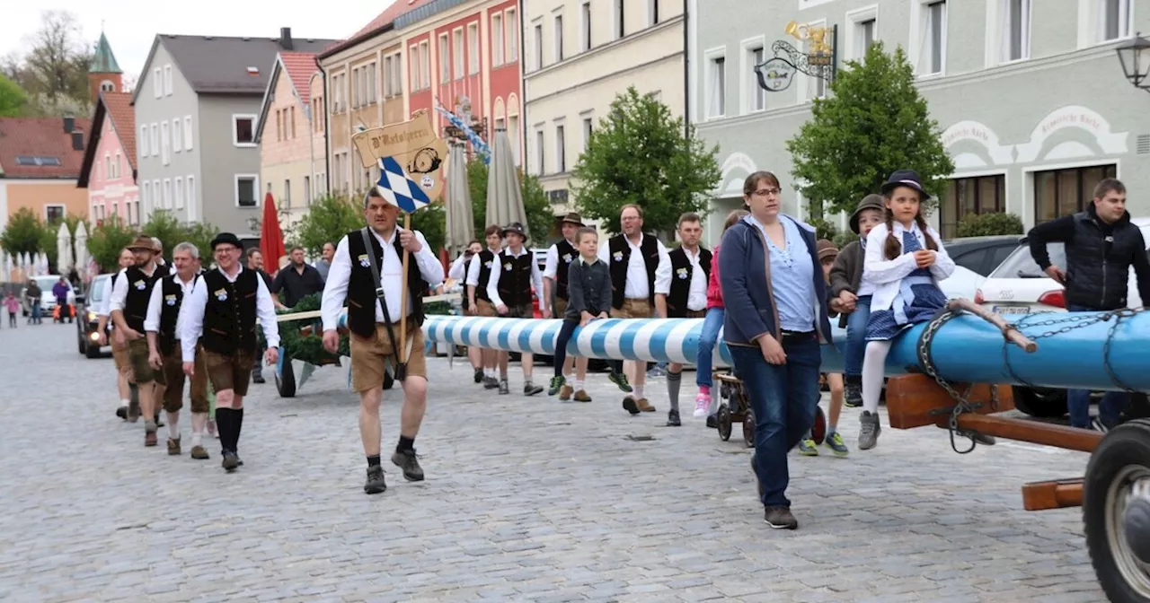 Further Maibaum nach Willmering entführt