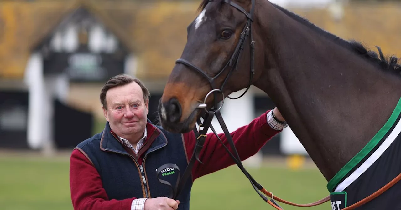 Henderson reports death of superstar day before he was to leave for Punchestown