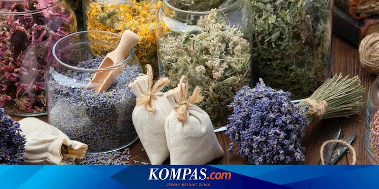 7 Cara Mengeringkan Tanaman Herbal dan Menyimpannya agar Tahan Lama