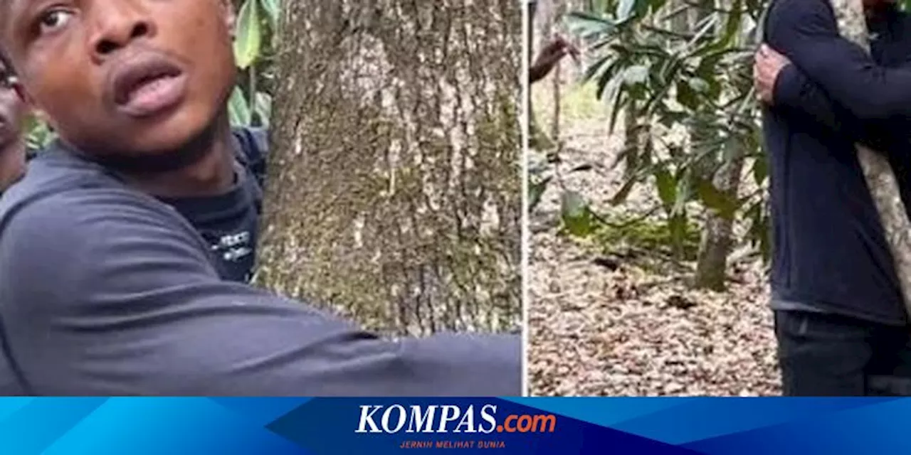 Pria Ini Memeluk 1.123 Pohon dalam Satu Jam, Pecahkan Rekor Dunia