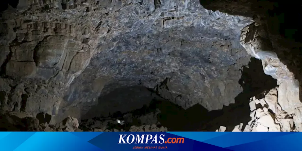 Studi Ungkap Manusia Purba Tinggal di Terowongan Gunung Berapi