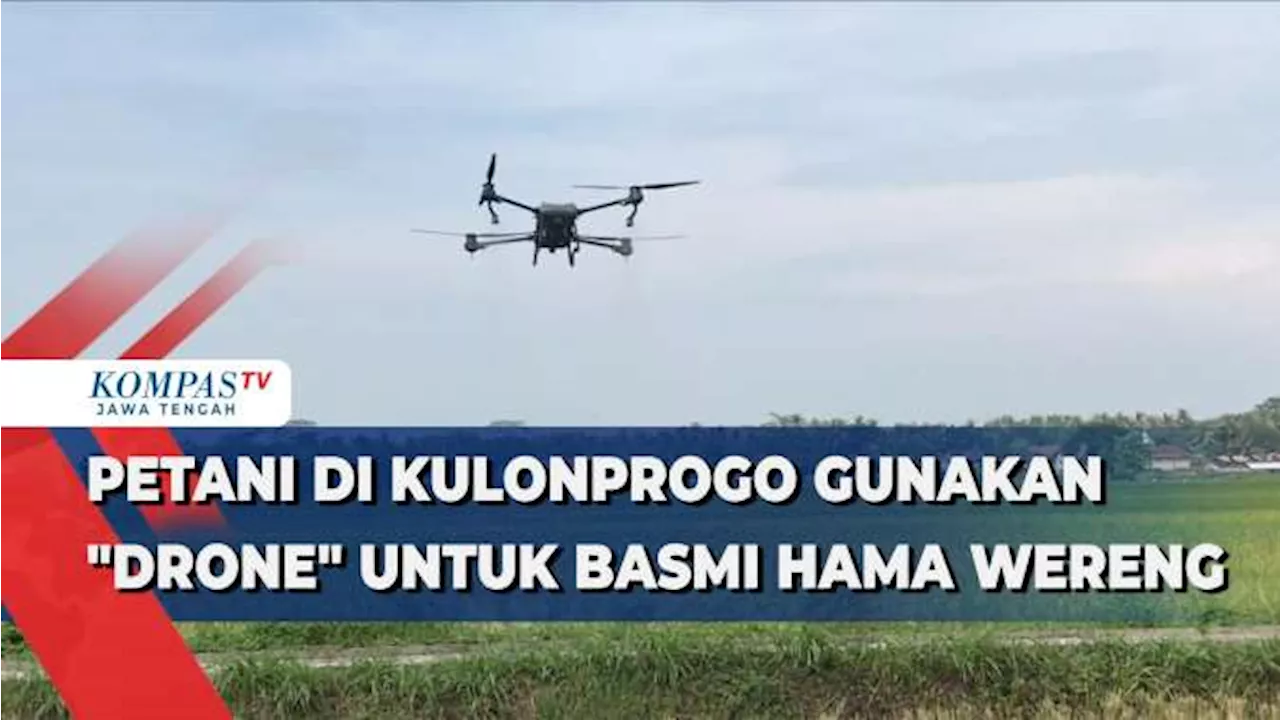 Petani di Kulon Progo Gunakan Drone untuk Basmi Hama Wereng