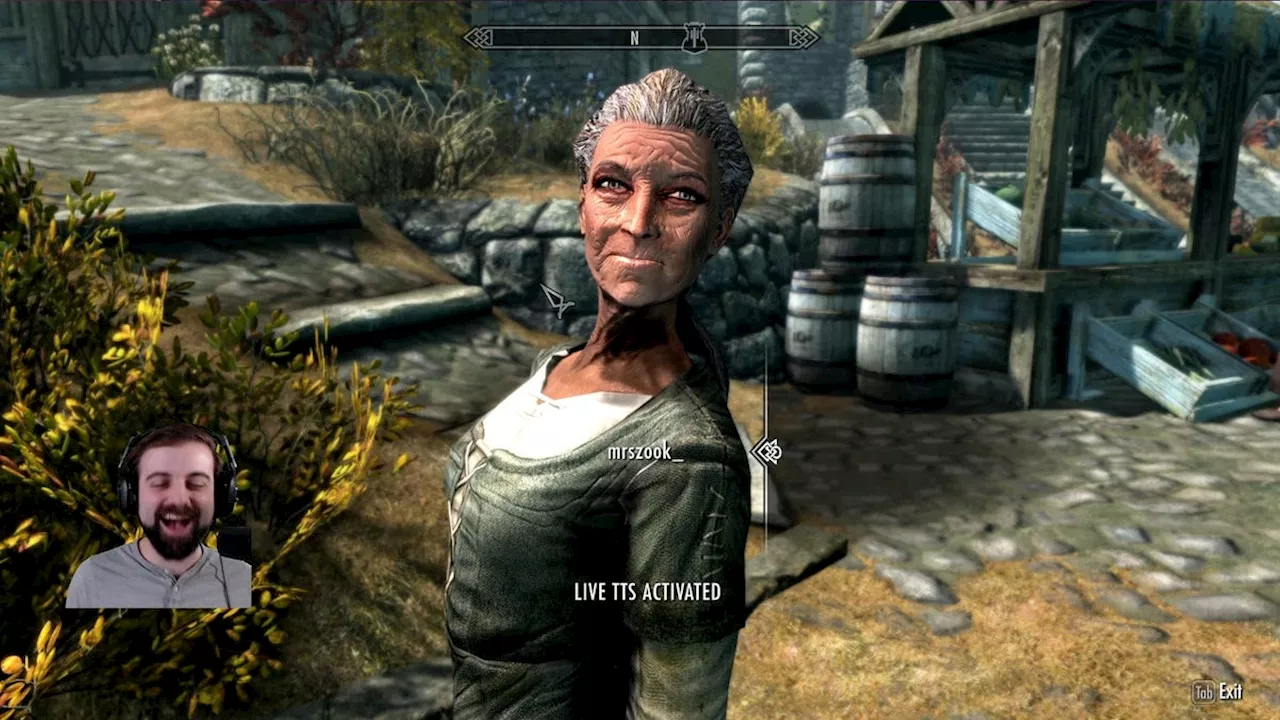 Streamer Builds Hilarious Skyrim Mod That Lets Twitch Chat Voice NPCs