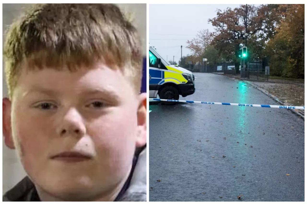 Boy accused of stabbing Alfie Lewis to death 'made knife poses' for photo, court hears