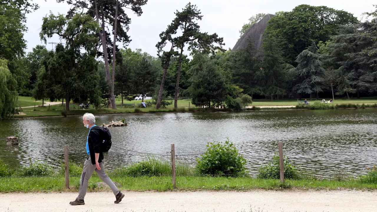 Paris : 68 préconisations pour redonner de l’oxygène aux bois de Vincennes et Boulogne