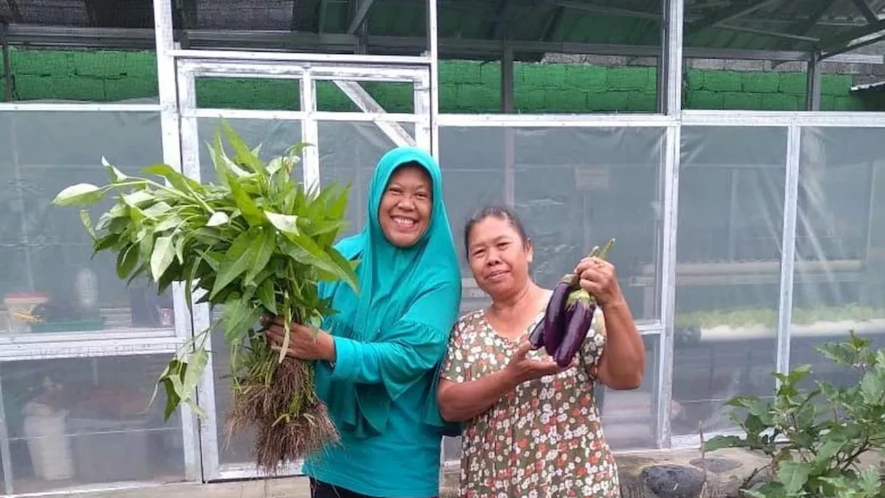 Angkat Urban Farming di Yogyakarta, BRI Dorong Perempuan Makin Tangguh dan Berdaya