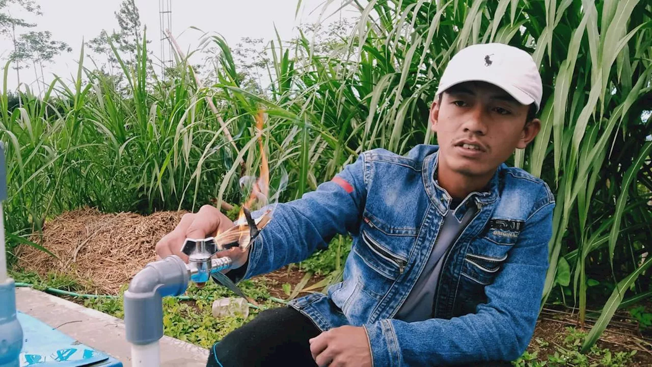 Luar Biasa, Peternak Kambing Banjarnegara Ubah Kotoran Kambing Menjadi Energi Alternatif