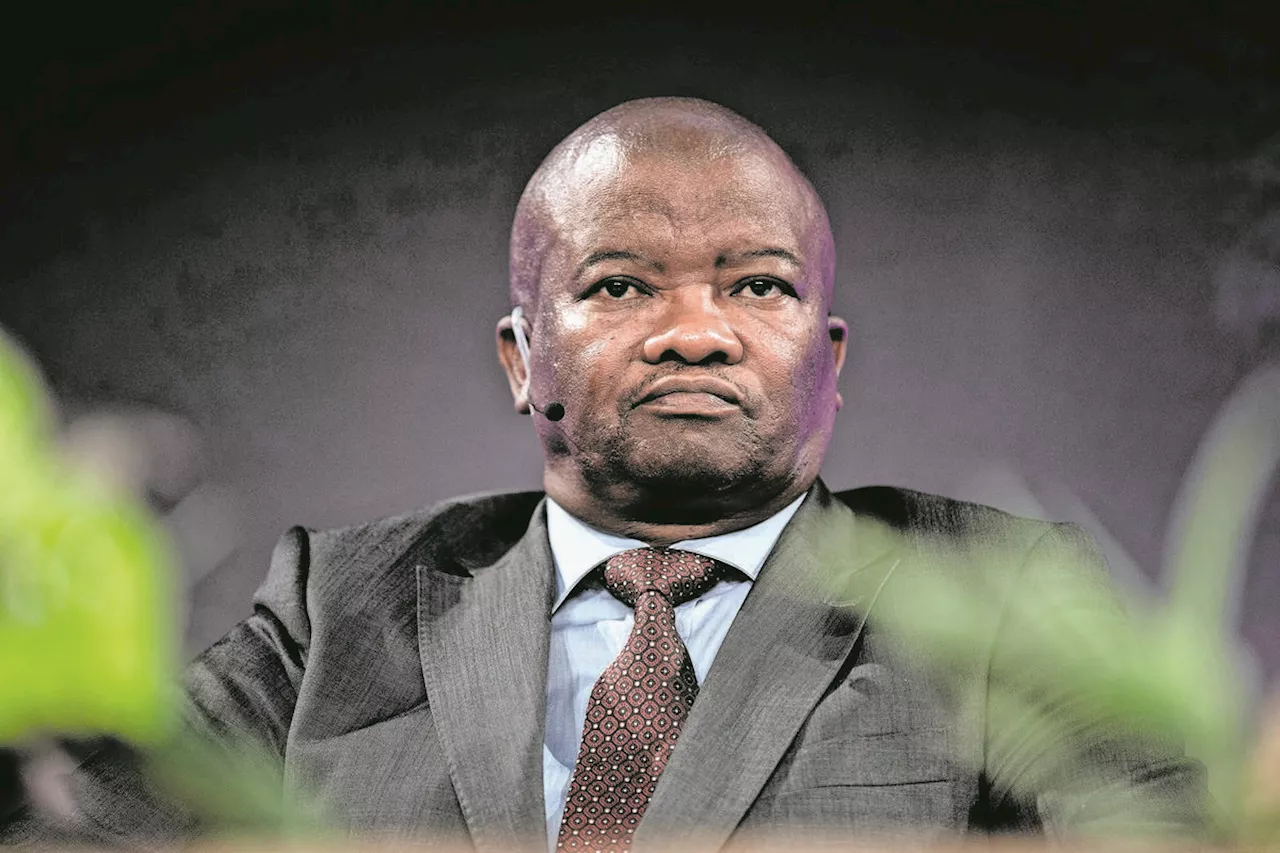 Holomisa to stand as UDM Eastern Cape premier candidate