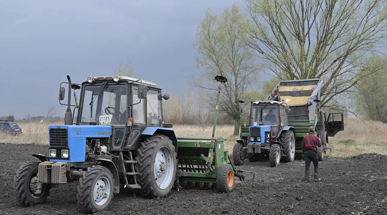 Caporalato in agricoltura, 10 arresti in Toscana: 67 extracomunitari sfruttati nei campi tra Livorno e Grosseto