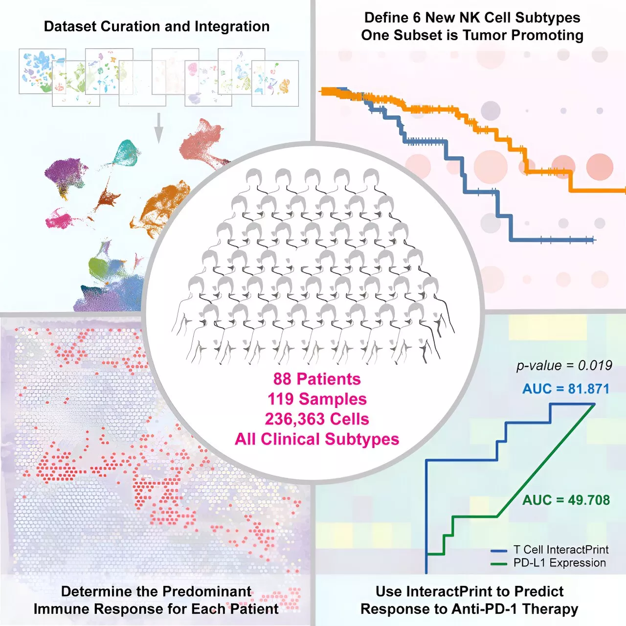 Cancer cell–immune cell interactions can predict immunotherapy response