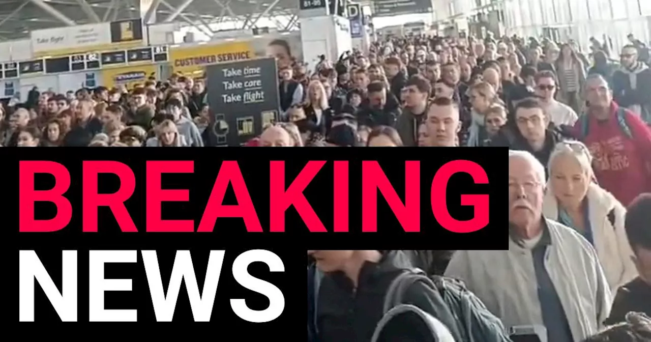 Chaos at London Stansted airport as power outage causes major delays