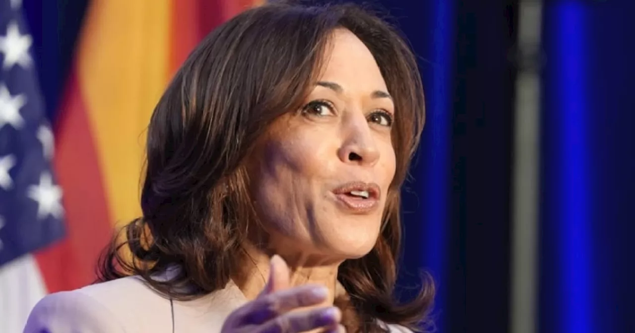 Biden admin's 'secret weapon': VP Harris to kick off economic tour soon