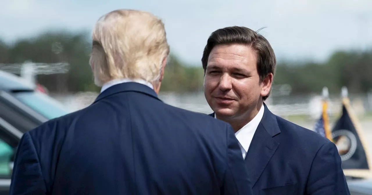 Ron DeSantis' cowardly surrender to Trump is now complete