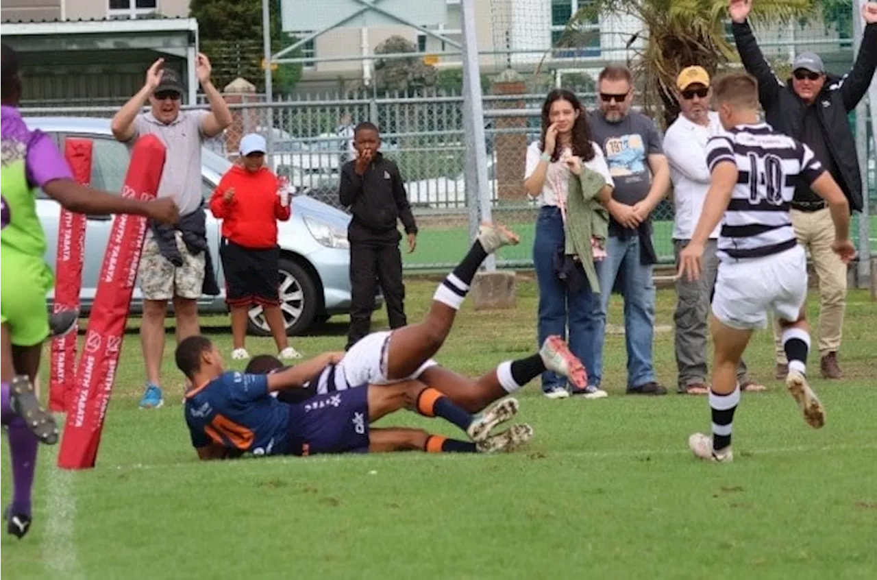 Schoolboy rugby: Grey, Paul Roos make hay in the Eastern Cape, Wynberg continue strong season