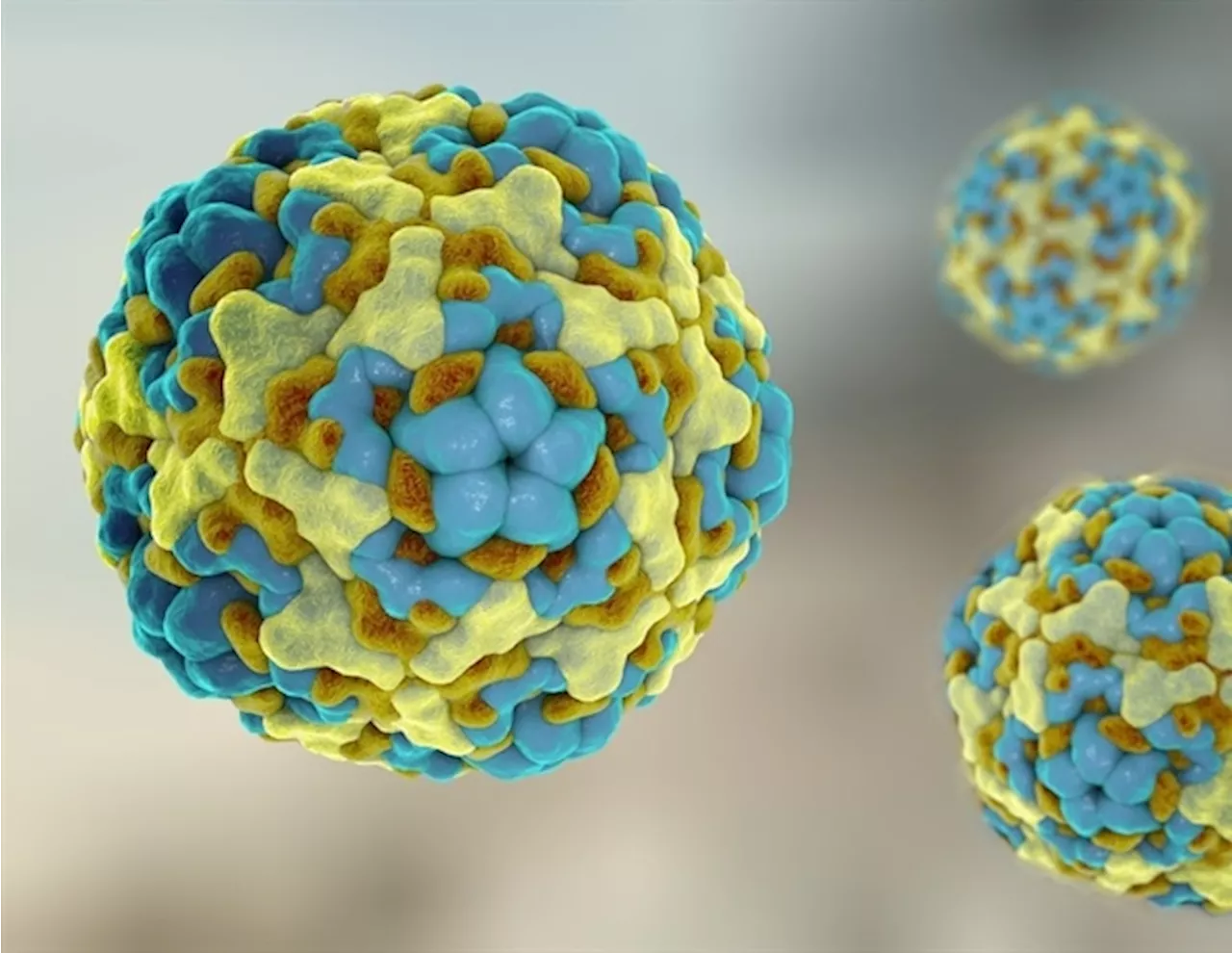 Expert warns of the continuous dangers posed by polio and other enteroviruses