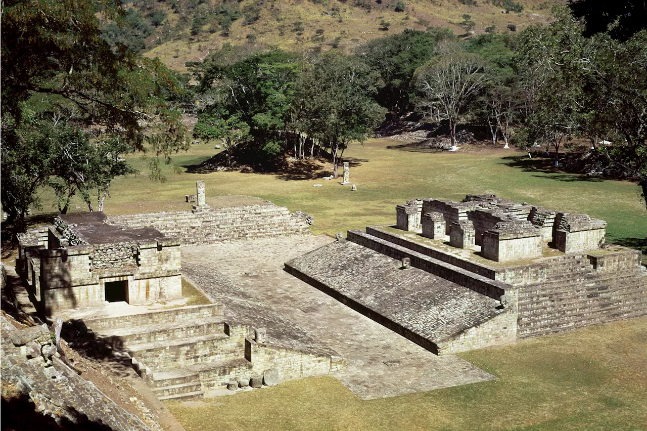 Ancient Maya Ball Court May Have Been Blessed, Hallucinogenic Find Hints