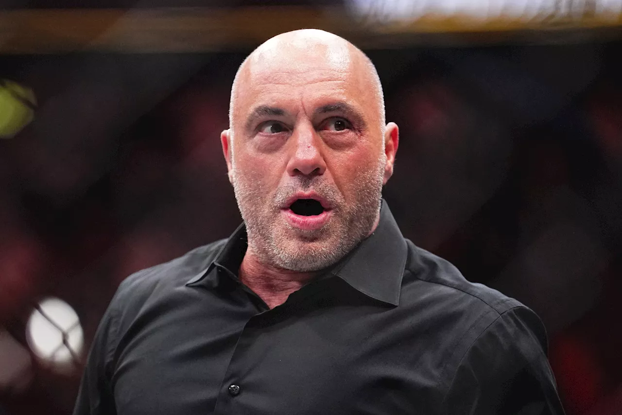 Joe Rogan Reveals What Could Be 'Game Over for the Human Race'