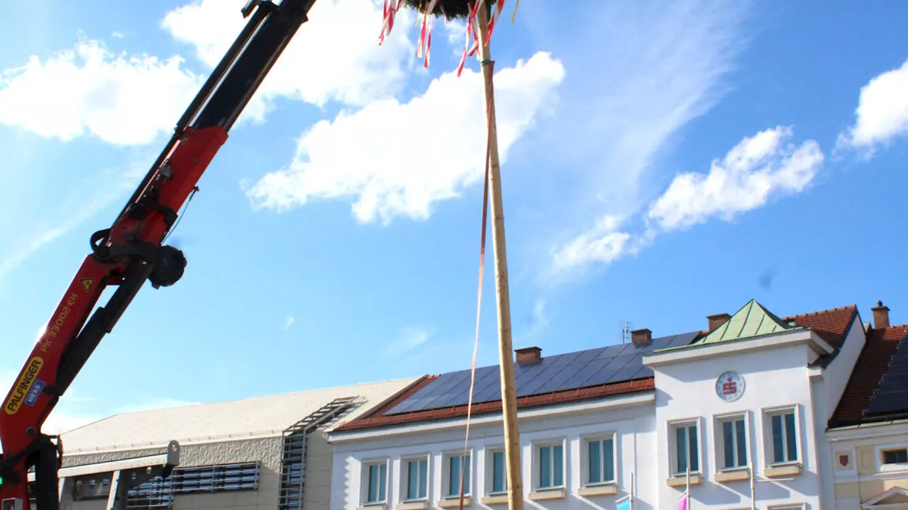 Herzogenburgs Maibaum steht