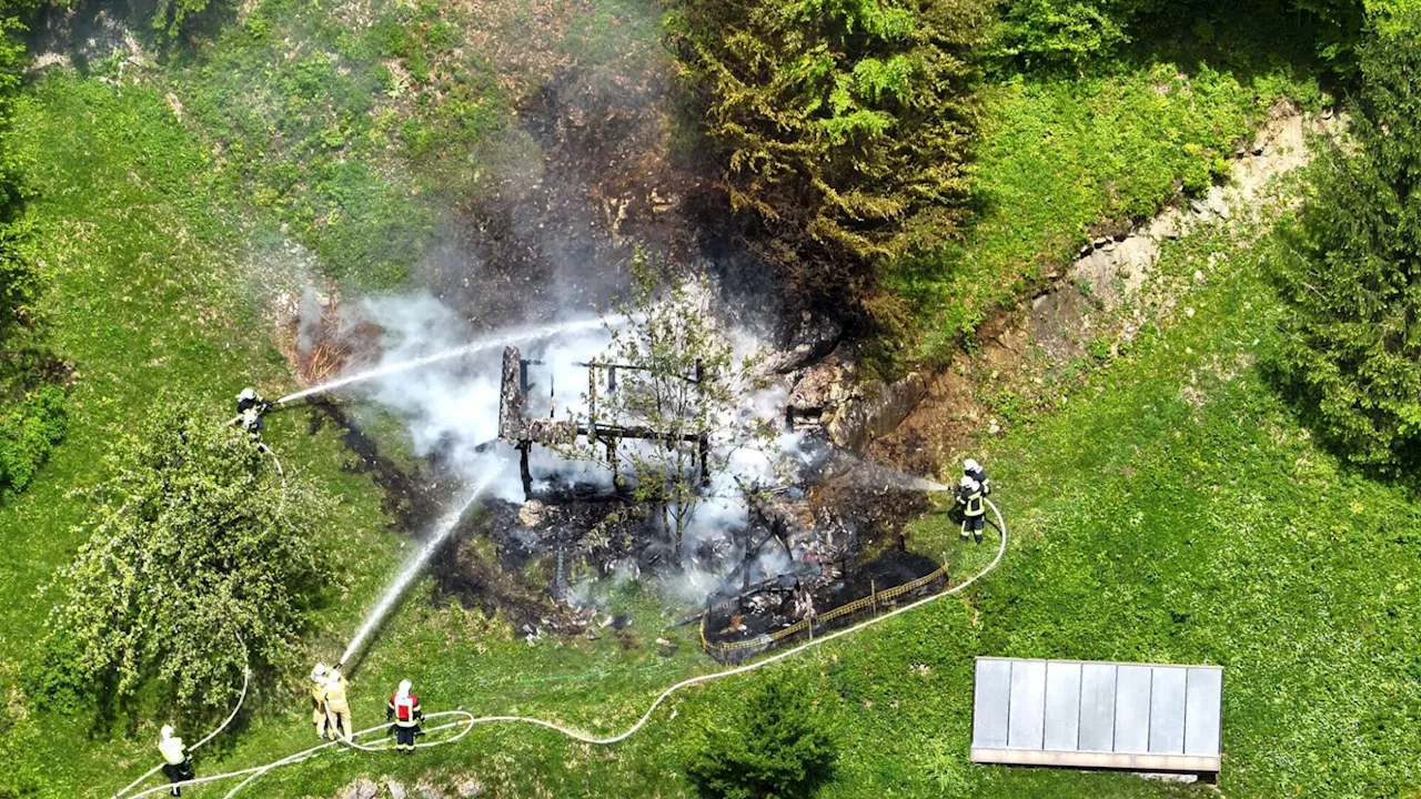 Hütte mit 60.000 Bienen ging in Flammen auf: FF verhinderte Waldbrand